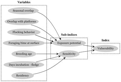 Seabird vulnerability to oil: Exposure potential, sensitivity, and uncertainty in the northern Gulf of Mexico